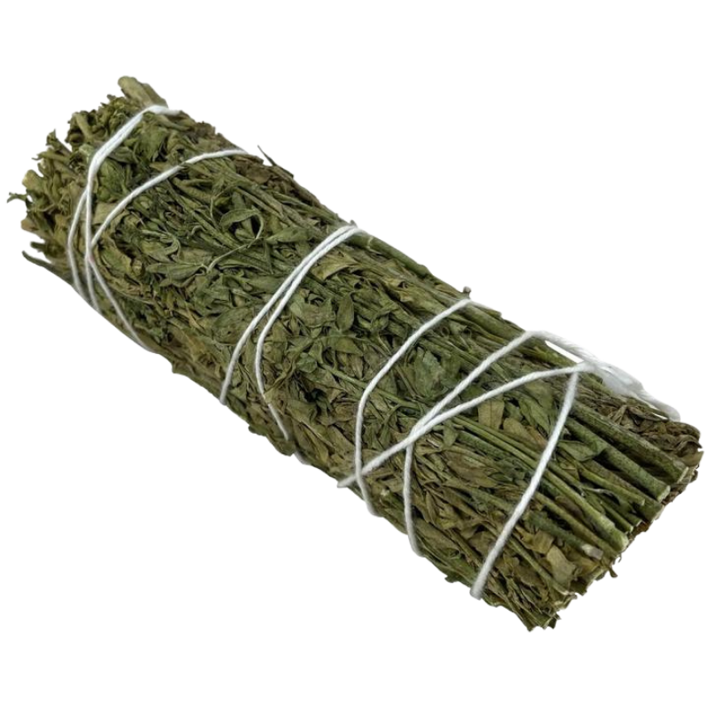 Ruda Rue Sage Smudge Arruda - (10-12cm - 25-30gr.)