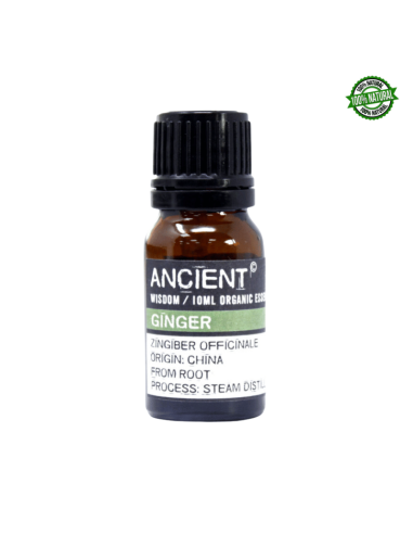 Zenzero 100% Olio Essenziale Ginger Bio Organico - 10ml